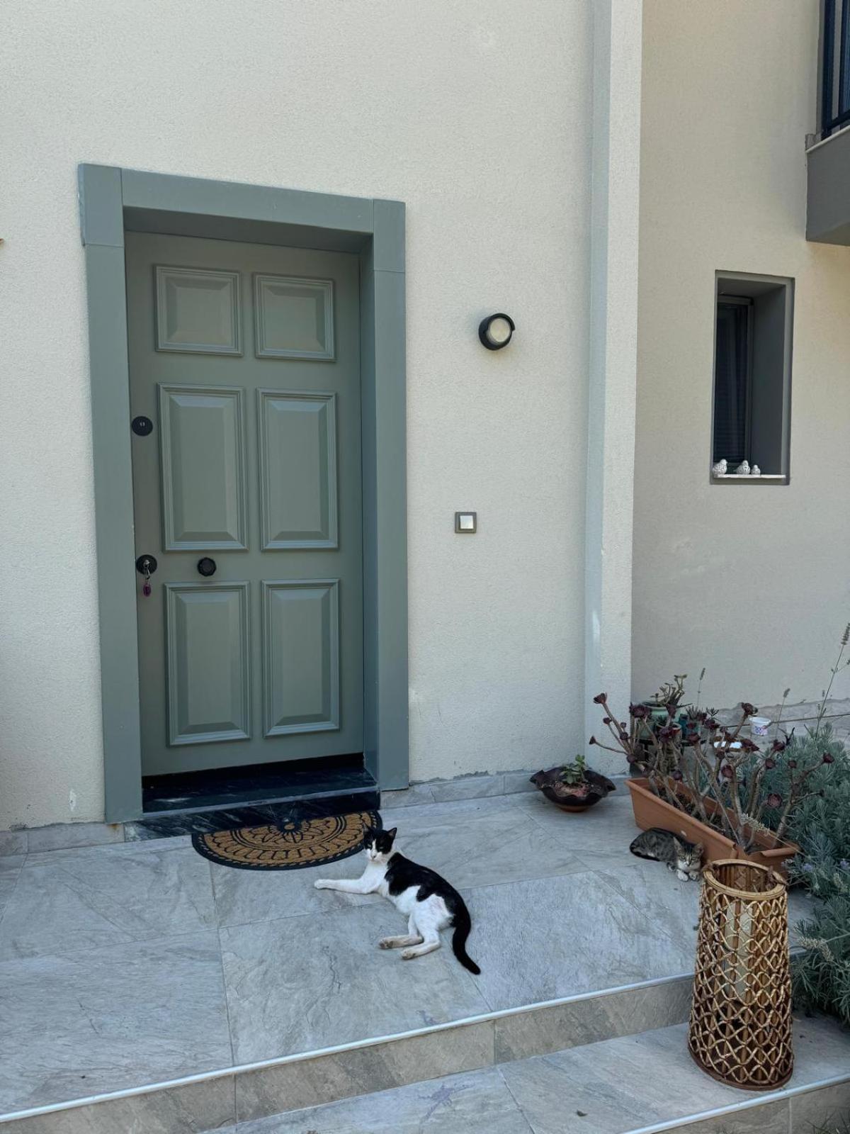 Suna Summer House Marmaris Kültér fotó